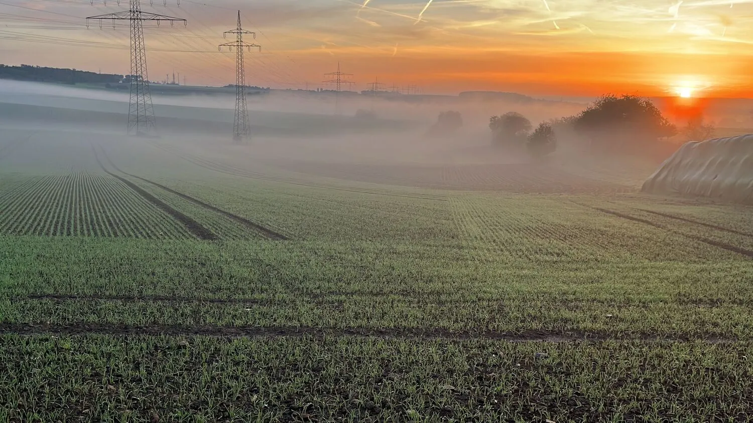 Landwirtschaft